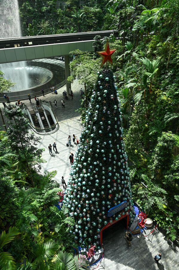 Рождественская елка в аэропорту Джуэл Чанги в Сингапуре. - Sputnik Беларусь