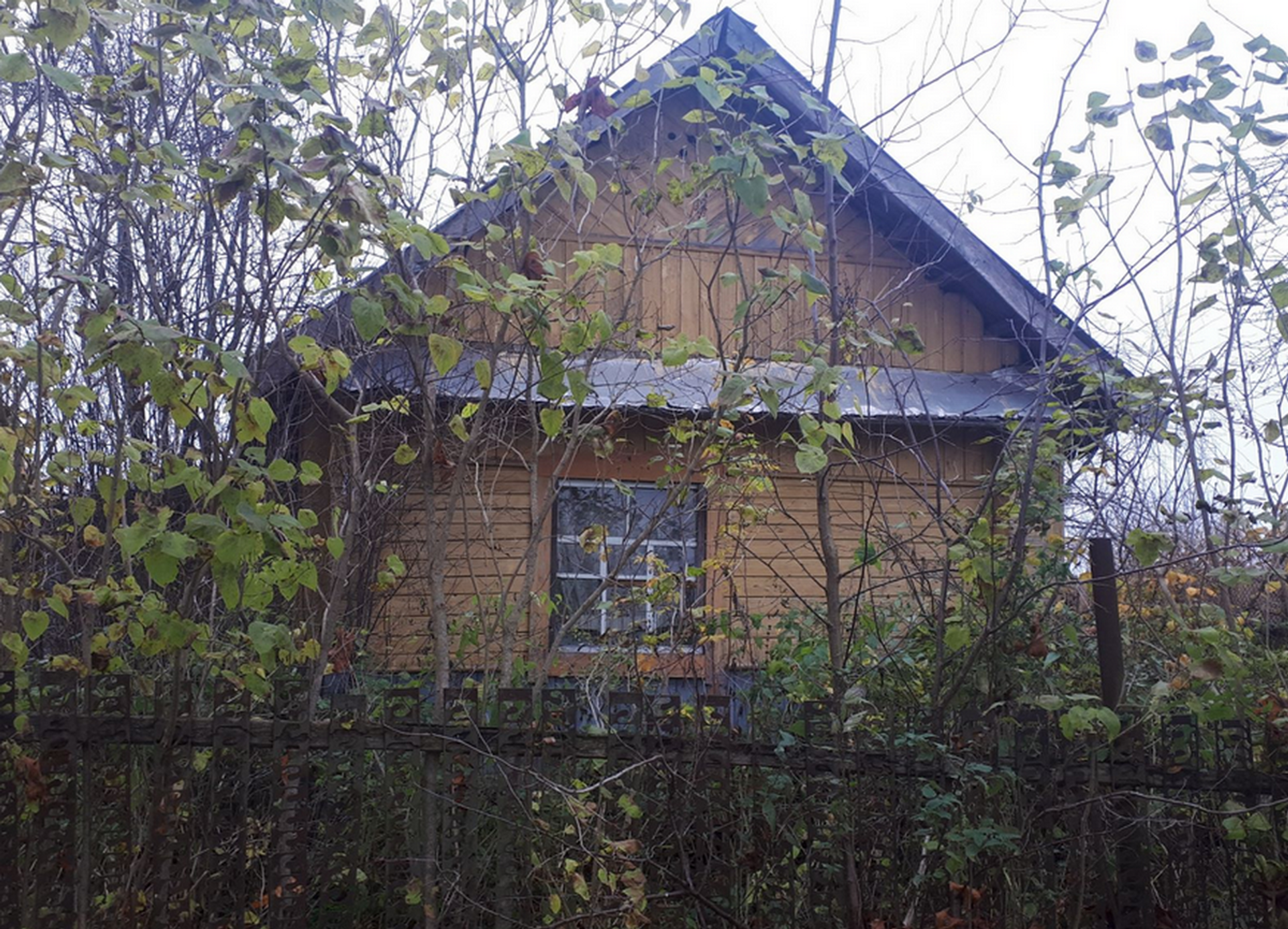 В деревне Островщина за одну базовую можно купить пустующий дом с 50% степенью износа - Sputnik Беларусь, 1920, 06.01.2023