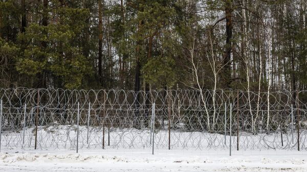 Забор на границе Беларуси и Польши - Sputnik Беларусь