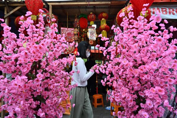 Новогодний рынок в Джакарте, Индонезия. Цветущие ветки персика символизируют процветание и любовь. - Sputnik Беларусь