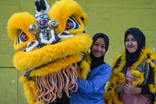 Артисты во время репетиции Танца льва перед началом празднования Нового года Кролика в Банда-Ачех на Суматре. - Sputnik Беларусь