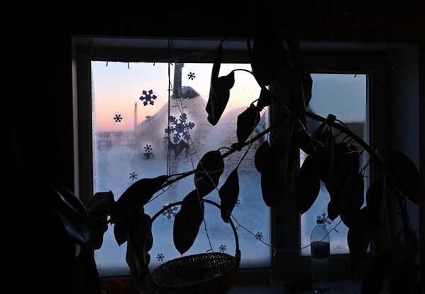 Фикус в окне жилого дома. - Sputnik Беларусь