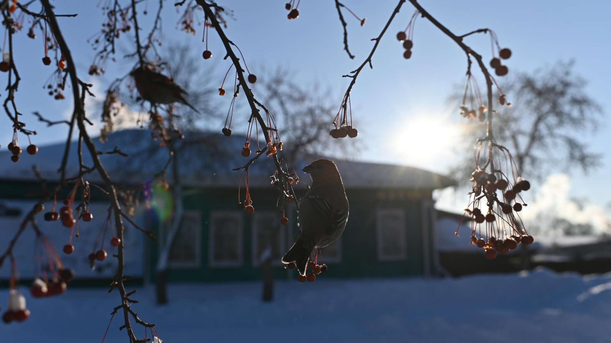 Аномальное холода люди мёрзли. Russia weather.