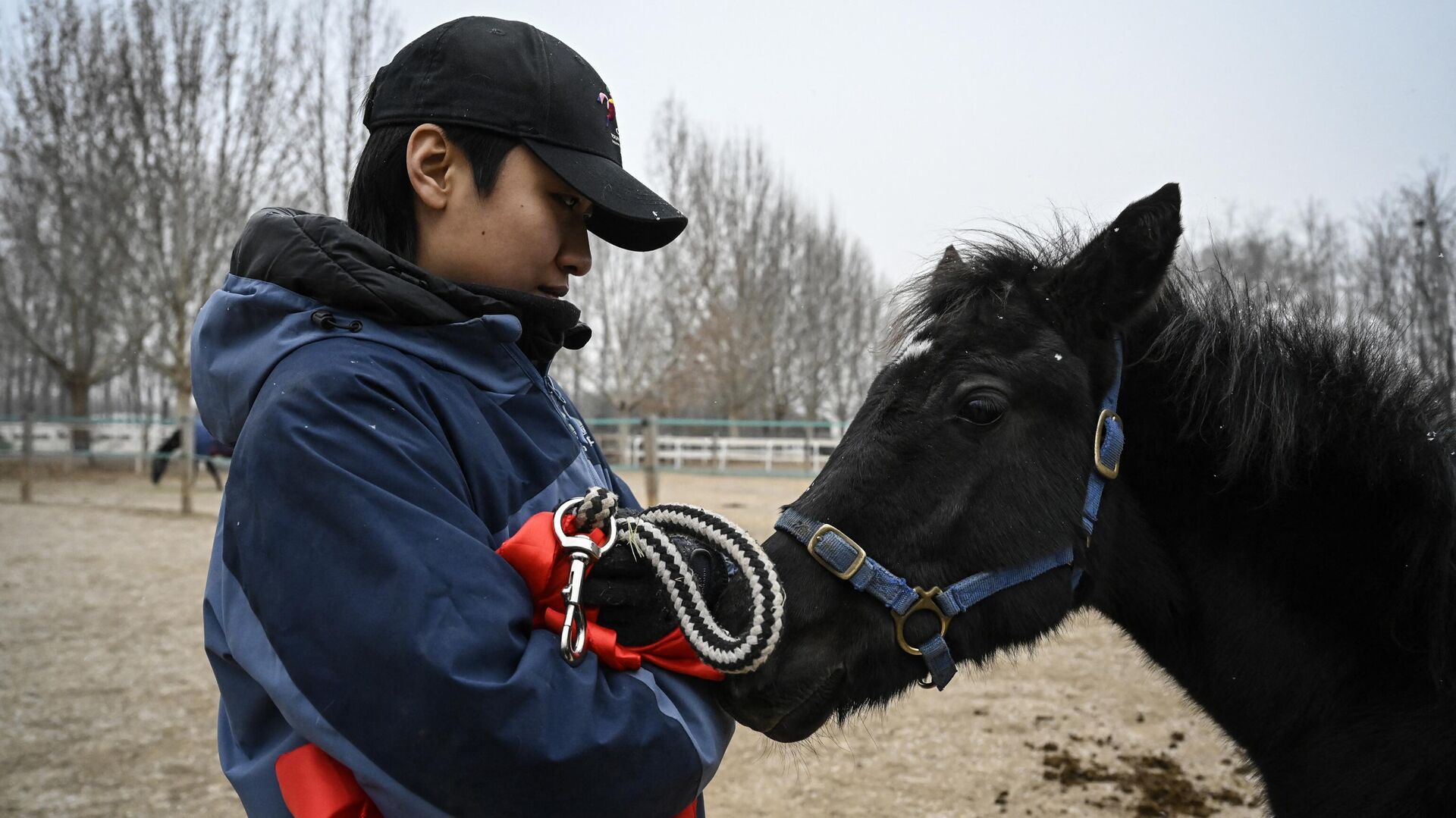 Первый клонированный в Китае конь Чжуан Чжуан, выведенная китайской компанией Sinogene, вместе с дрессировщиком Инь Чуюном в загоне клуба верховой езды Sheerwood в Пекине - Sputnik Беларусь, 1920, 12.01.2023