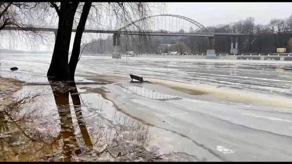В Гомеле подтопило центральный пляж: вода добралась до скамеек и набережной (видео) - Sputnik Беларусь