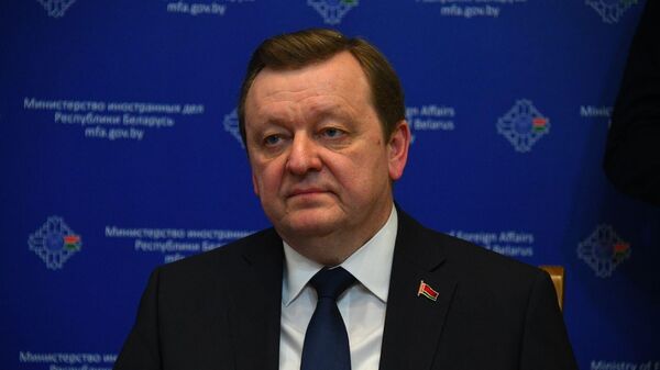 Министр иностранных дел Беларуси Сергей Алейник - Sputnik Беларусь