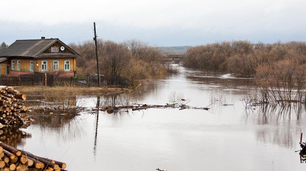 Разлив реки весной - Sputnik Беларусь