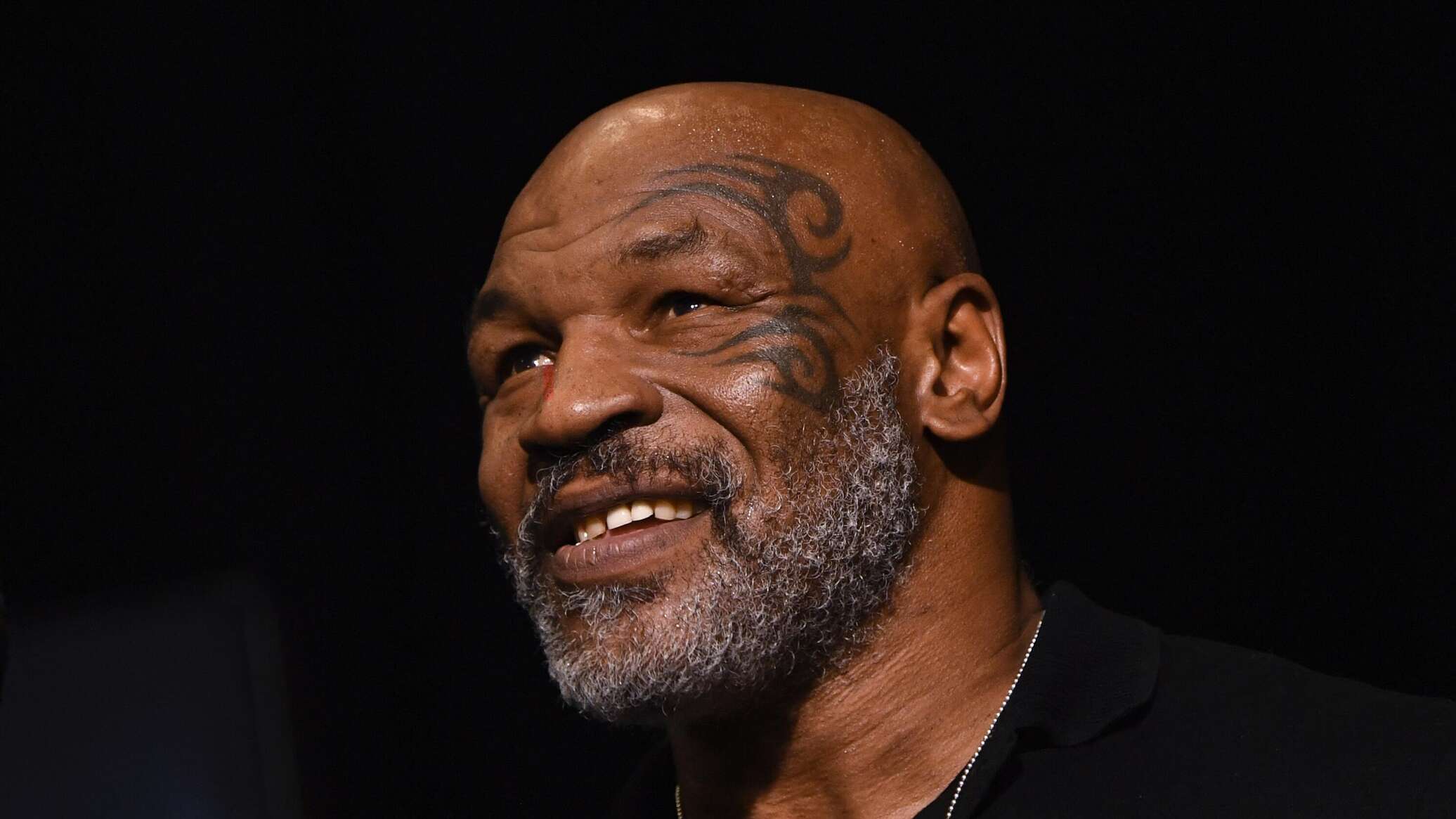 Майк тайсон фото 2022. Тренировка майка тайсона. Сколько лет майку тайсону в 2023. Сколько лет майку тайсону в 2023. Майк тайсон фото.