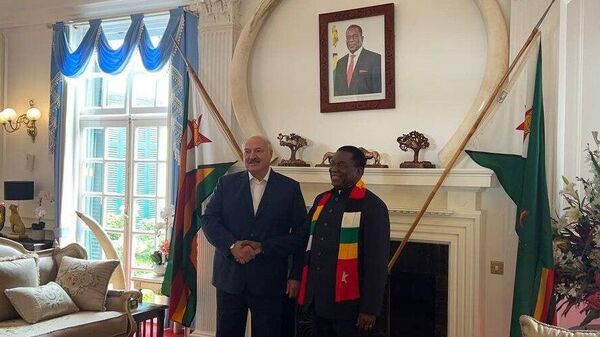 Официальные переговоры Александра Лукашенко с президентом Зимбабве Мнангагвой - Sputnik Беларусь