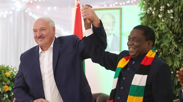 Александр Лукашенко на переговорах с президентом Зимбабве Эммерсоном Мнангагвой - Sputnik Беларусь