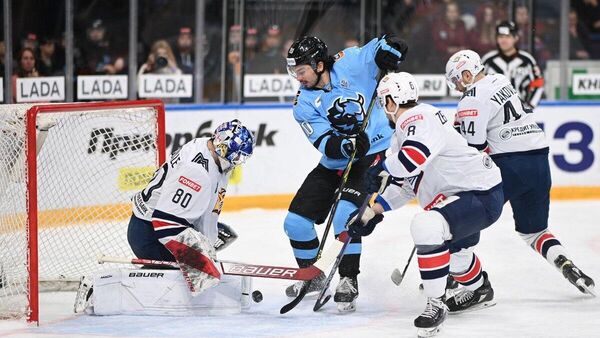 Матч Динамо-Минск - Металлург, архивное фото - Sputnik Беларусь