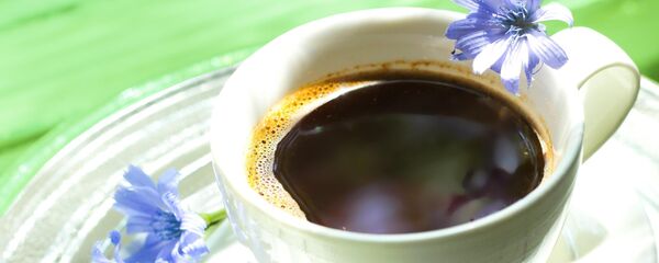 Цикорий - Sputnik Беларусь