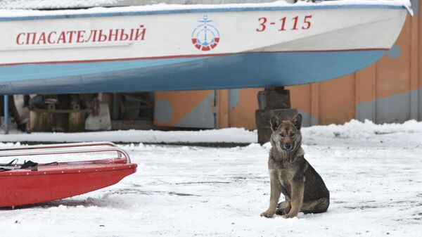 Спасательные лодки - Sputnik Беларусь