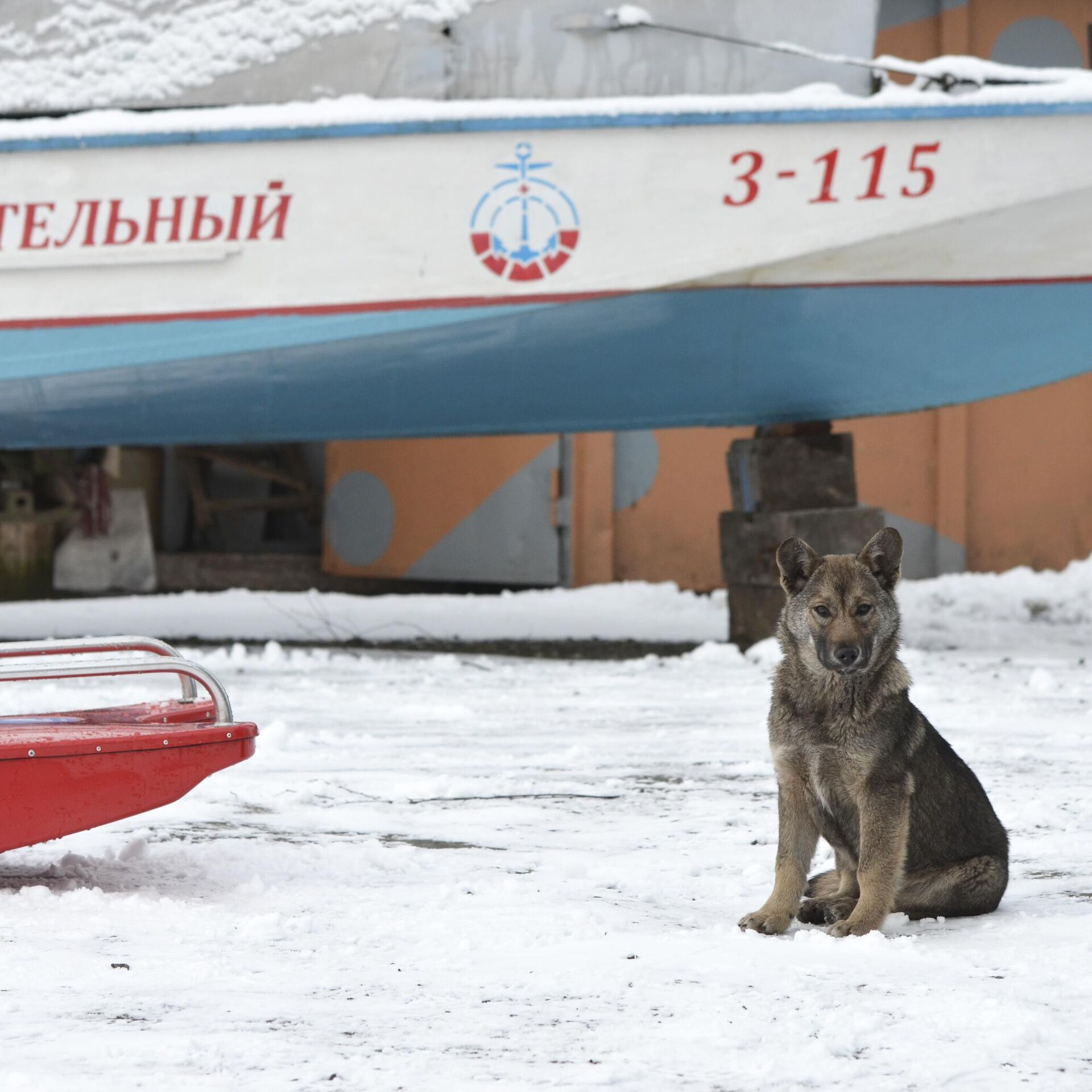 Даже снасти не успел достать: рыбаки выходят на лед, несмотря на