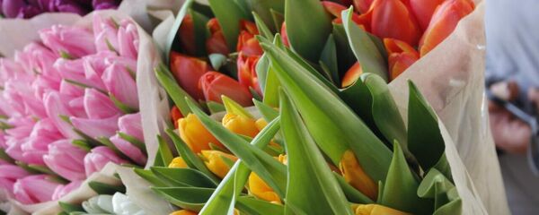 Тюльпаны на Комаровском рынке Тюльпаны на Комаровском рынке - Sputnik Беларусь