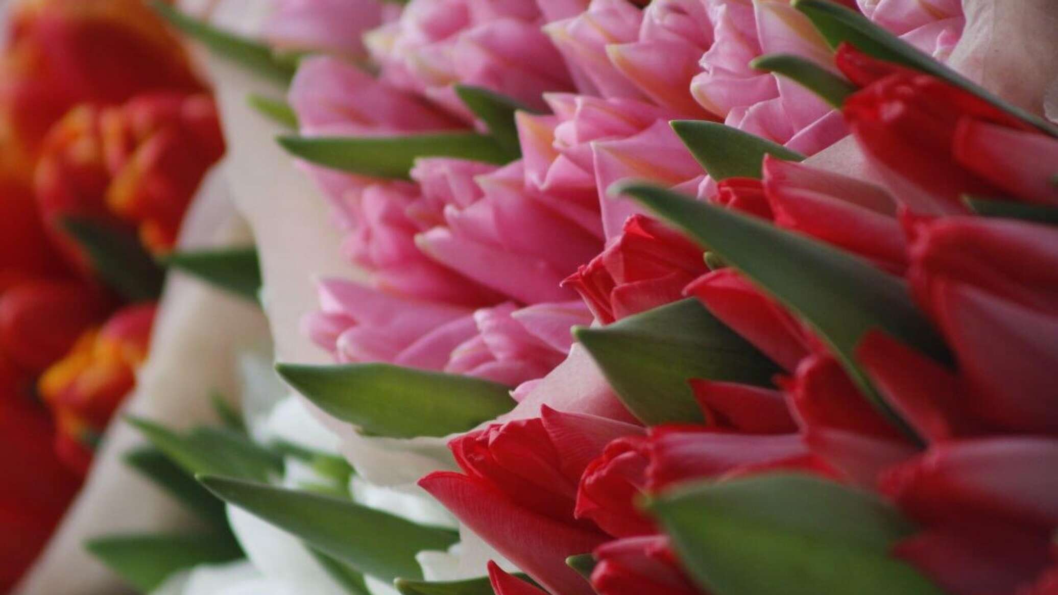 Где будут продавать цветы в Минске к 8 Марта? - 22.02.2023, Sputnik ...