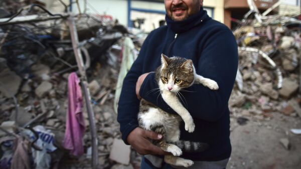 Мужчина держит на руках свою кошку, спасенную из рухнувшего здания, Турция - Sputnik Беларусь