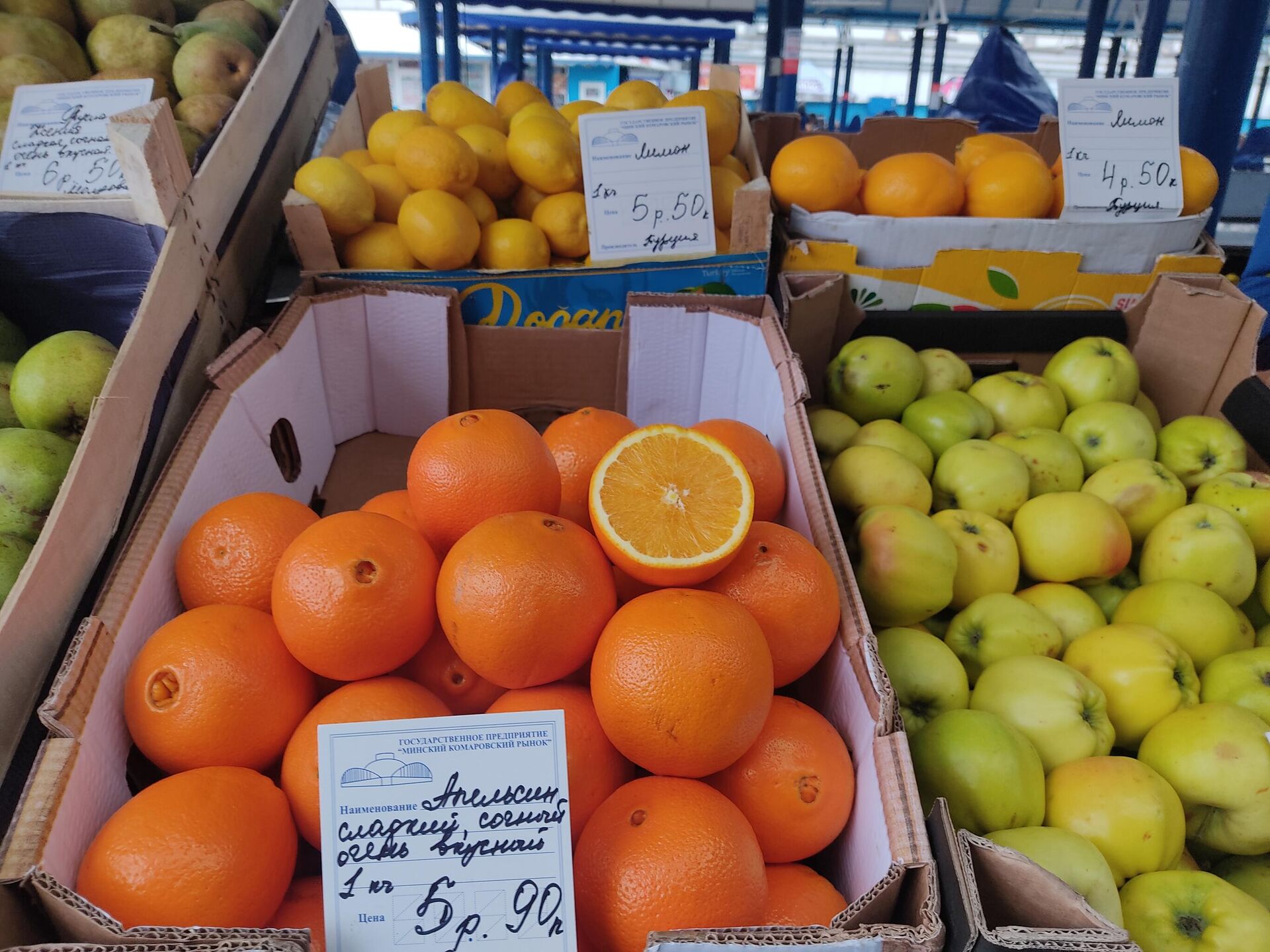 Апельсины стоят по 5,90 за килограмм, отечественные яблоки на порядок дешевле - Sputnik Беларусь, 1920, 17.02.2023