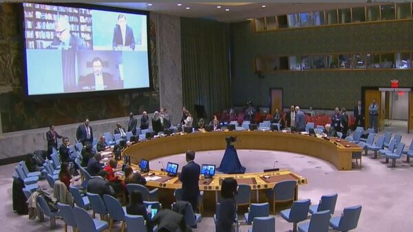 Вышинский выступает на заседании Совбеза ООН по русофобии - Sputnik Беларусь