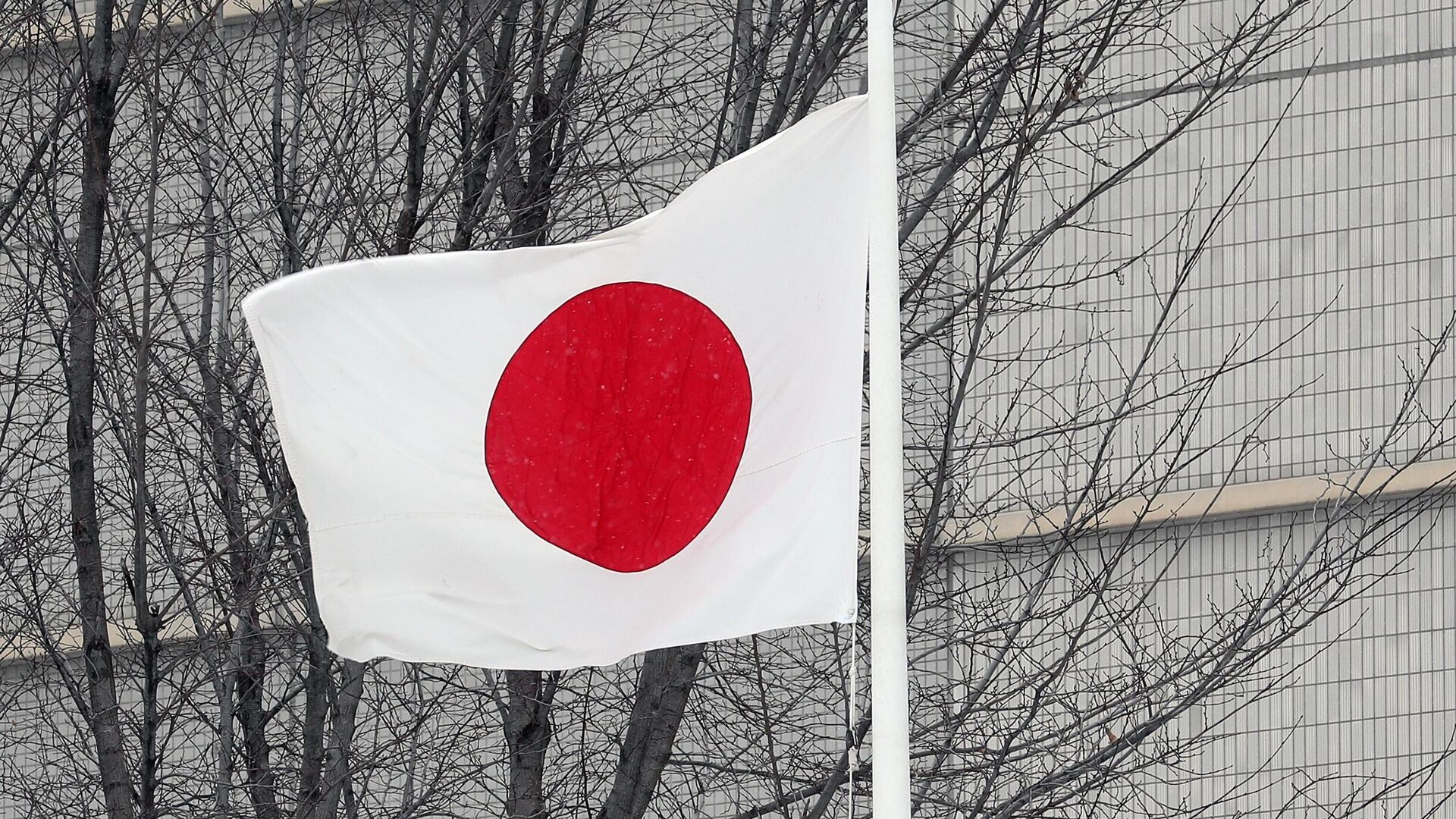 Флаг Японии  - Sputnik Беларусь, 1920, 16.03.2023