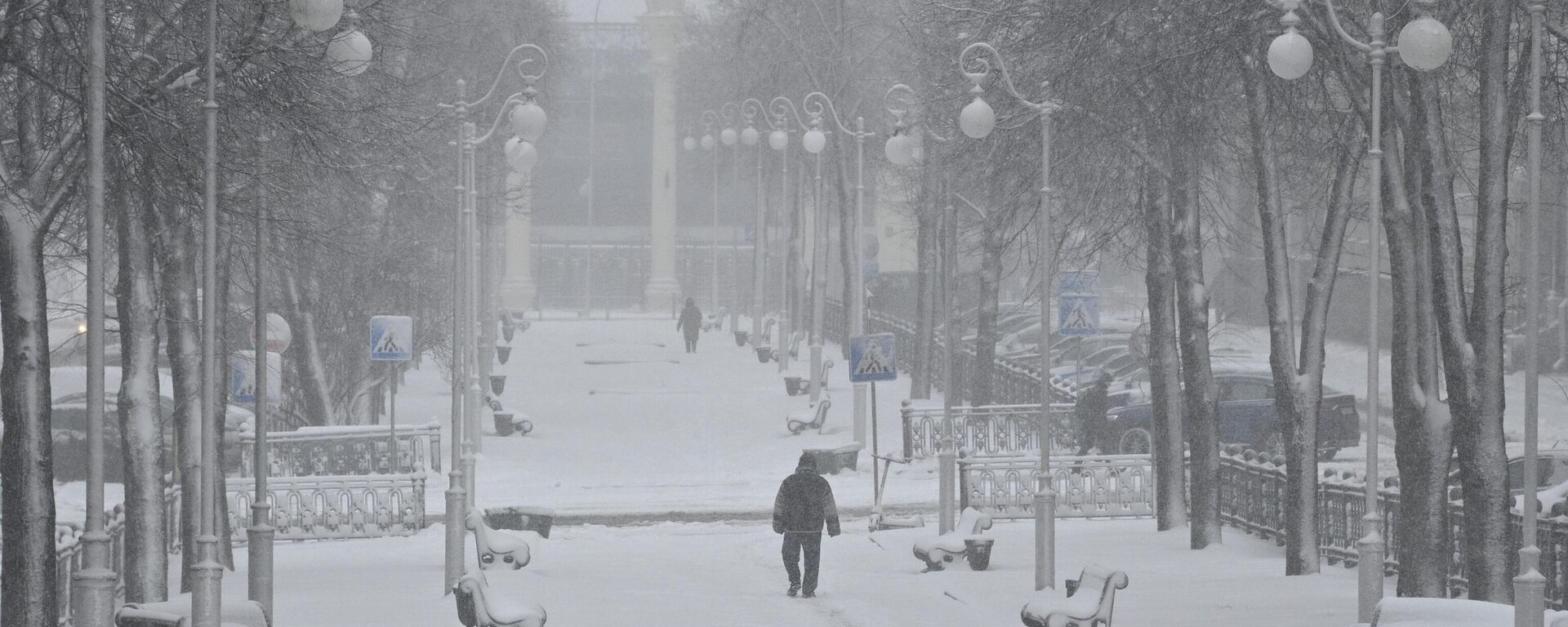 Снег и метель в Минске - Sputnik Беларусь, 1920, 27.12.2025