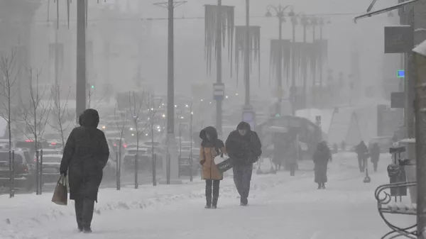 Метели вернутся в Беларусь сразу после Дня влюбленных