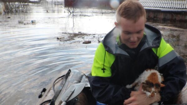Сотрудники МЧС спасли кота на затопленной даче под Гомелем - Sputnik Беларусь