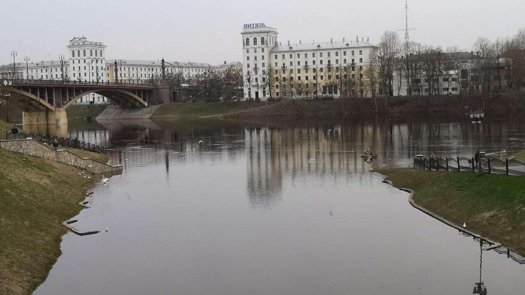 В Витебске всплыла 