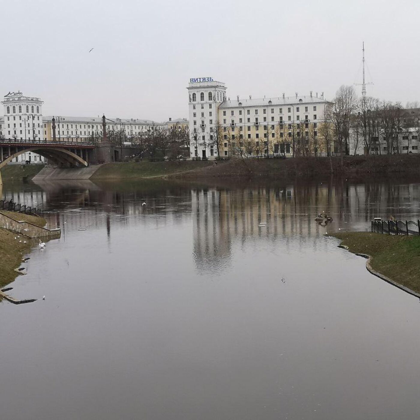 В Витебске всплыла 