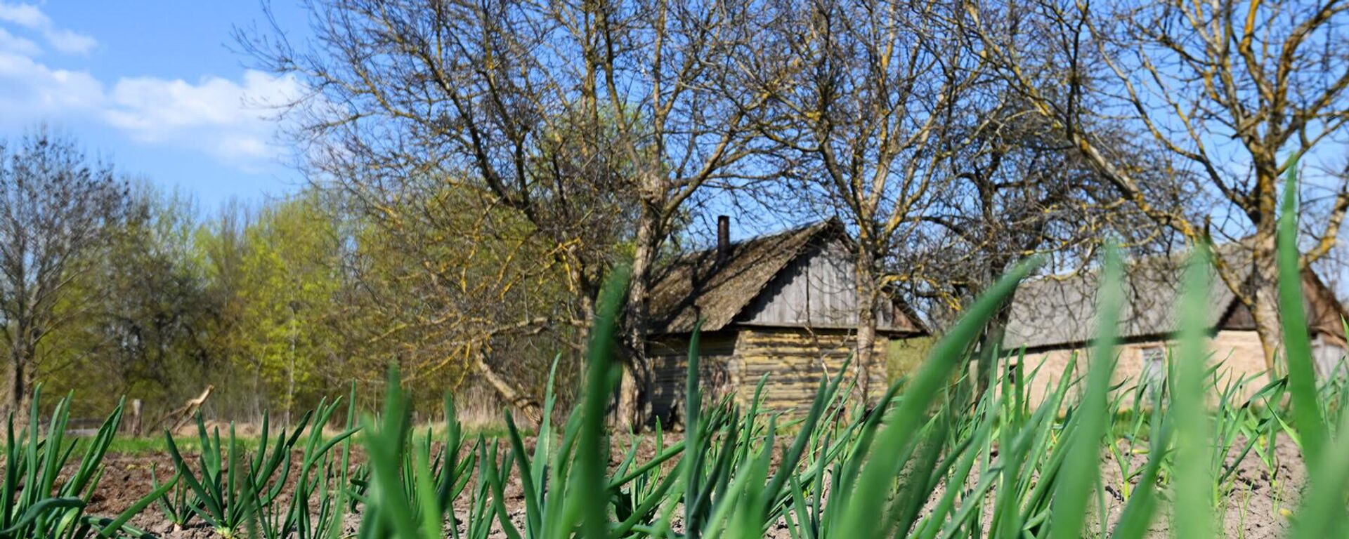 Деревня Демьянки Добрушского района Гомельской области - Sputnik Беларусь, 1920, 24.04.2026