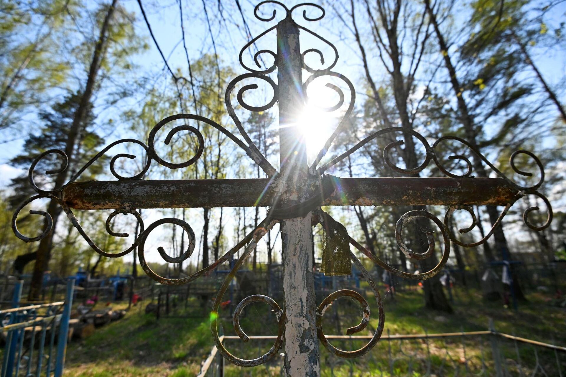 Кладбище в деревне Демьянки Добрушского района Гомельской области - Sputnik Беларусь, 1920, 31.03.2025