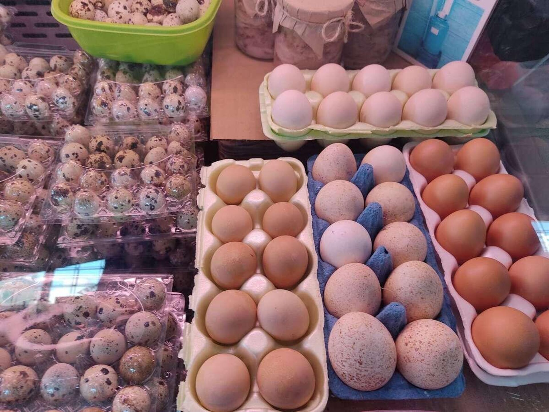 Агрофирма закупает куриные яйца 30 50 42. Яйца индейки.