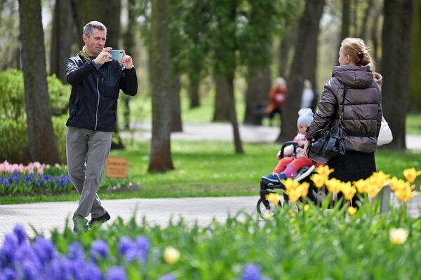 Сотни людей каждый день приходят в центральный парк полюбоваться цветением тюльпанов. - Sputnik Беларусь