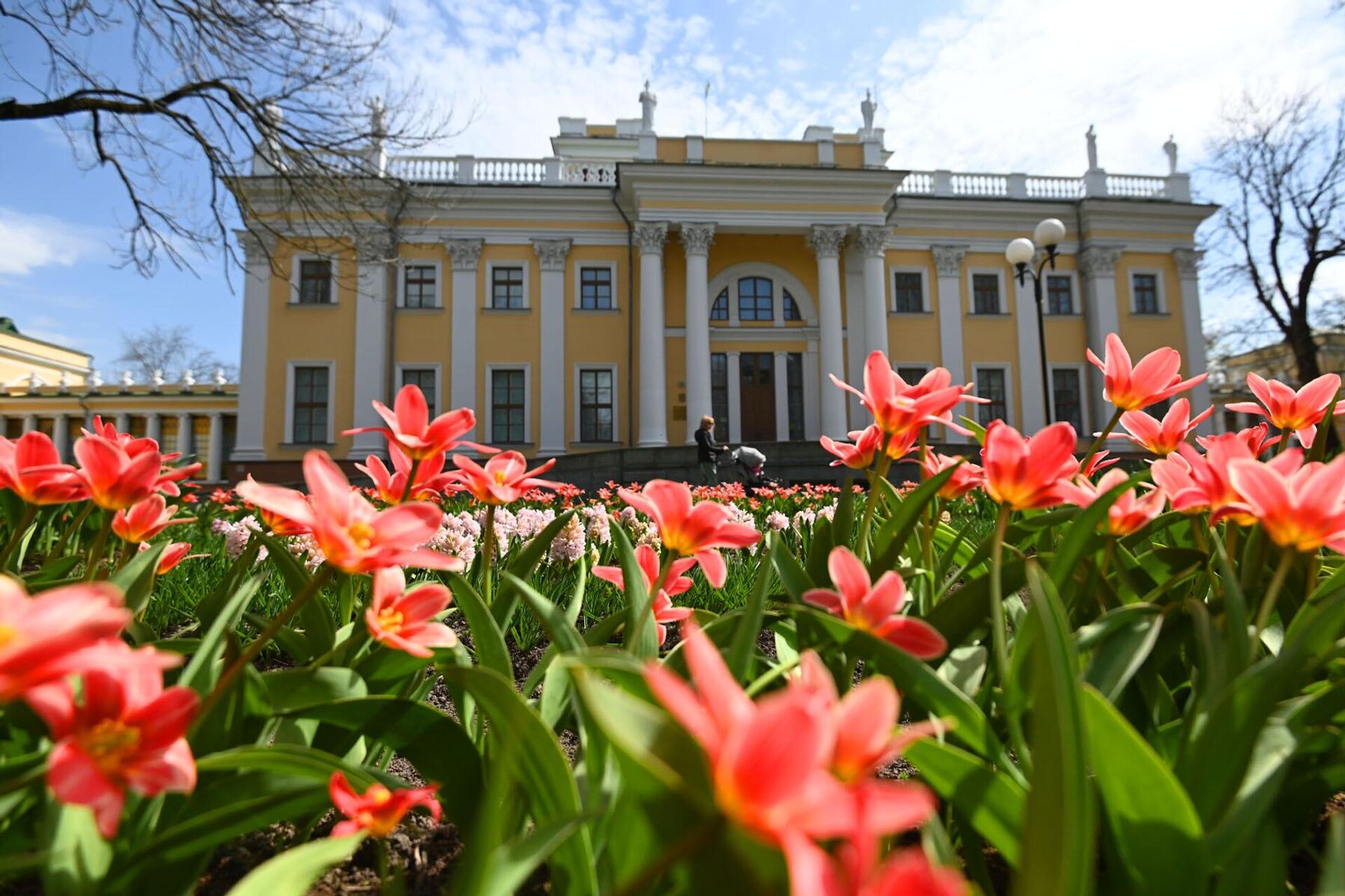 Тюльпаны цветут в парке Гомеля - Sputnik Беларусь, 1920, 22.08.2025