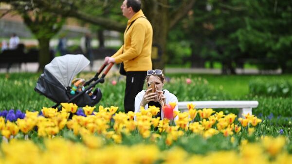 Тюльпаны цветут в парке Гомеля - Sputnik Беларусь