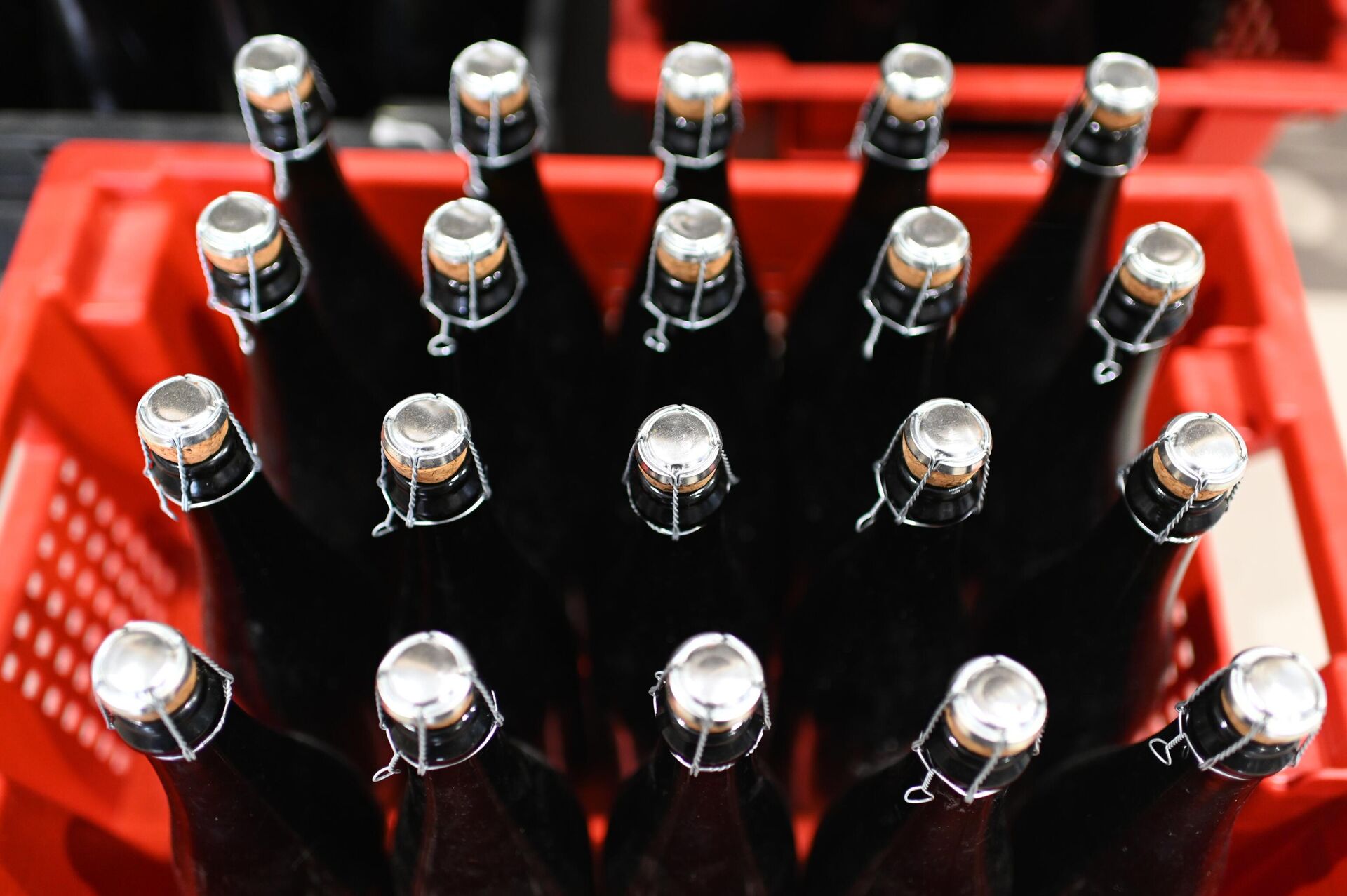 Производство вина