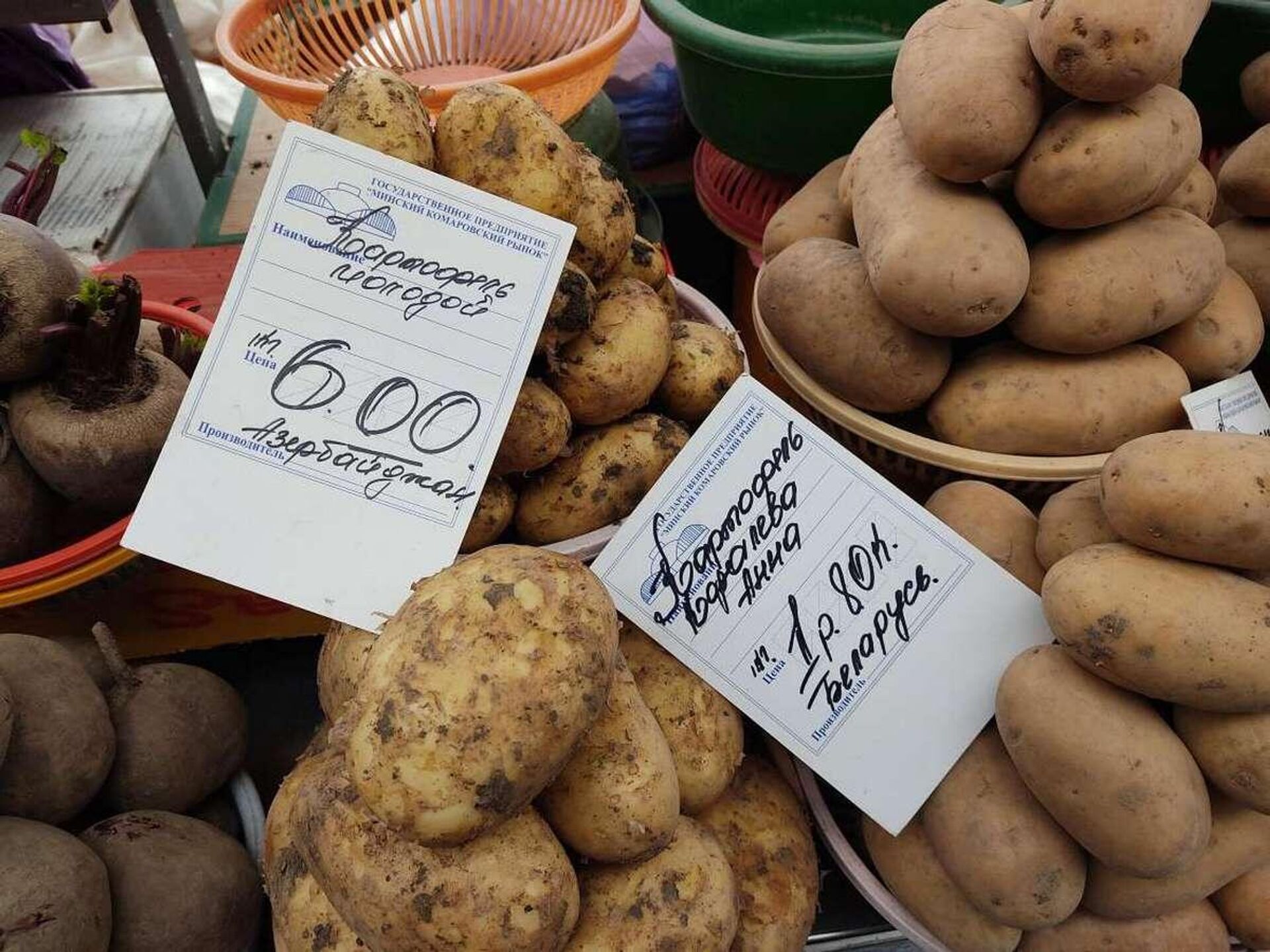 Картофель можно купить с разбежкой от 1,80 до 6 рублей за килограмм - Sputnik Беларусь, 1920, 05.05.2023