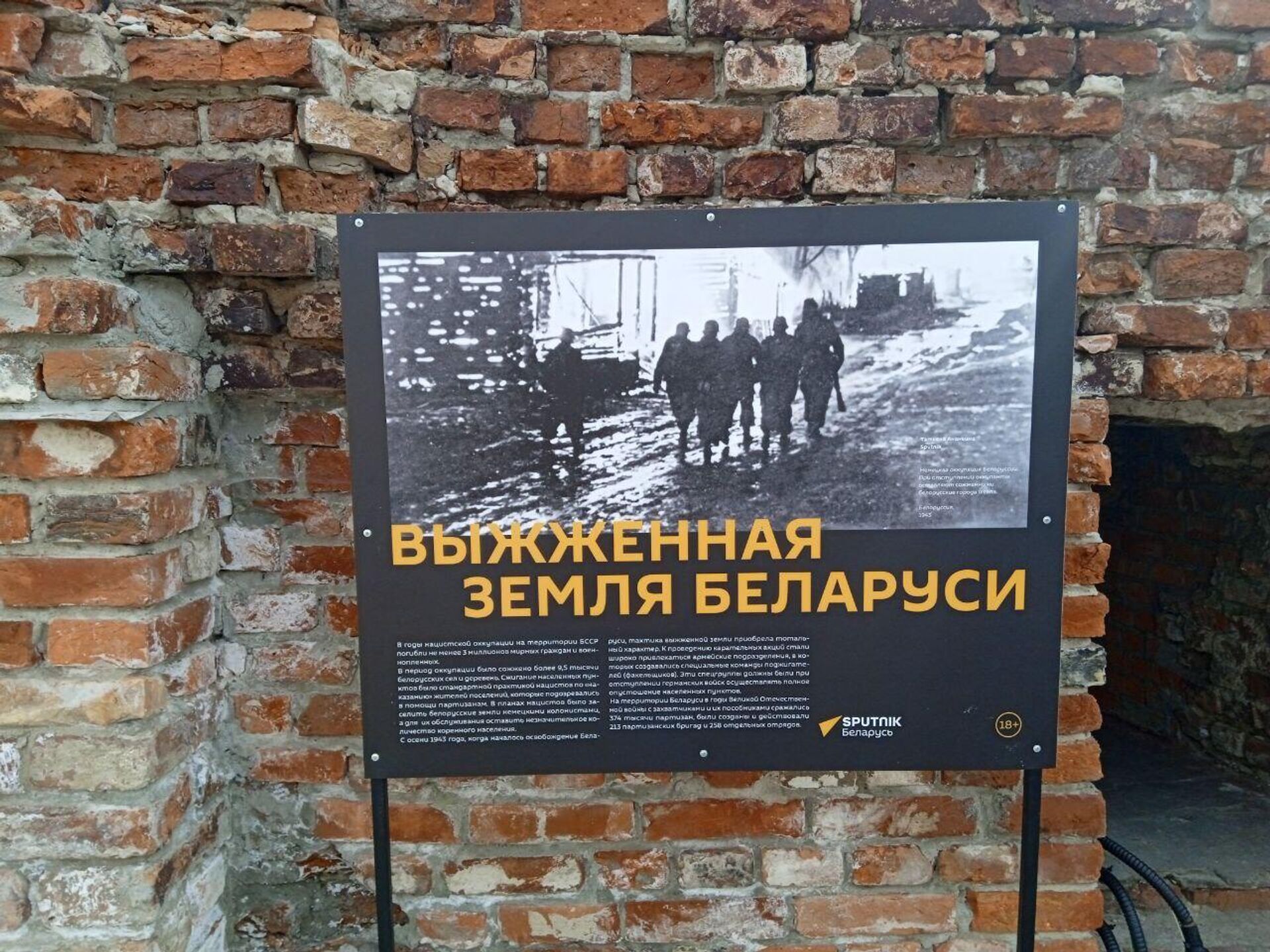 Фотовыставка Совинформбюро: 1943 год. Начало освобождения  - Sputnik Беларусь, 1920, 06.05.2023