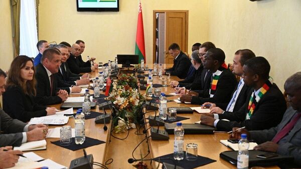 В Беларусь для переговоров приехала группа представителей Зимбабве - Sputnik Беларусь