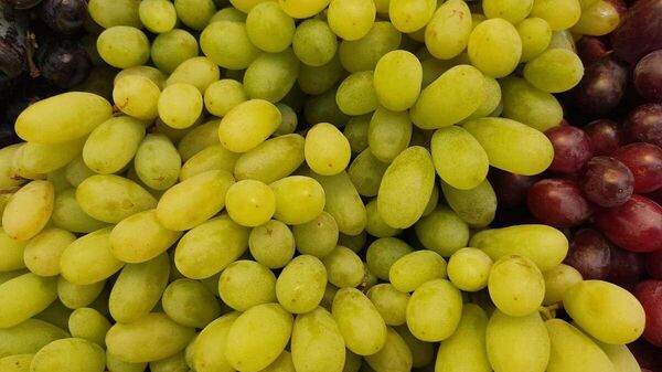 Поклонники винограда смогут купить вкусные и красивые ягоды - Sputnik Беларусь