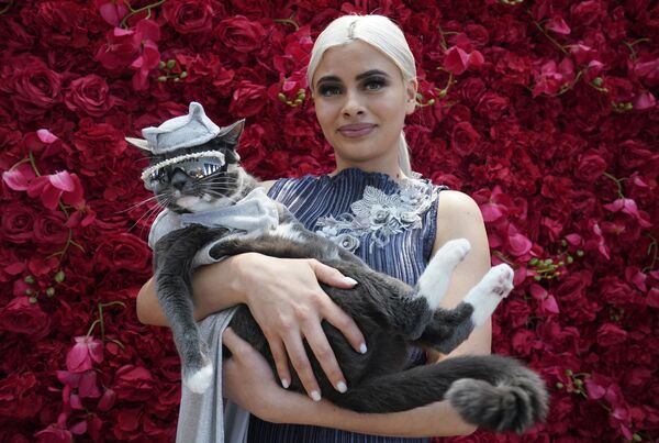 Модель с котом Бубликом (Bagel), одетым как Амала Ратна Зандиле Дламини, более известна как Doja Cat - Sputnik Беларусь