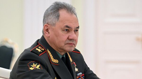 Міністр абароны Расіі, генерал арміі Сяргей Шайгу - Sputnik Беларусь