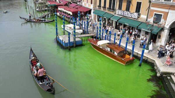 Зеленая вода гранд-канала в Венеции - Sputnik Беларусь