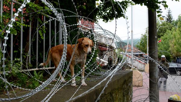 Собака стоит за забором, когда солдаты Сил для Косово (СДК) под командованием НАТО в полном снаряжении устанавливают колючую проволоку вокруг муниципального здания в Звечане, северное Косово - Sputnik Беларусь