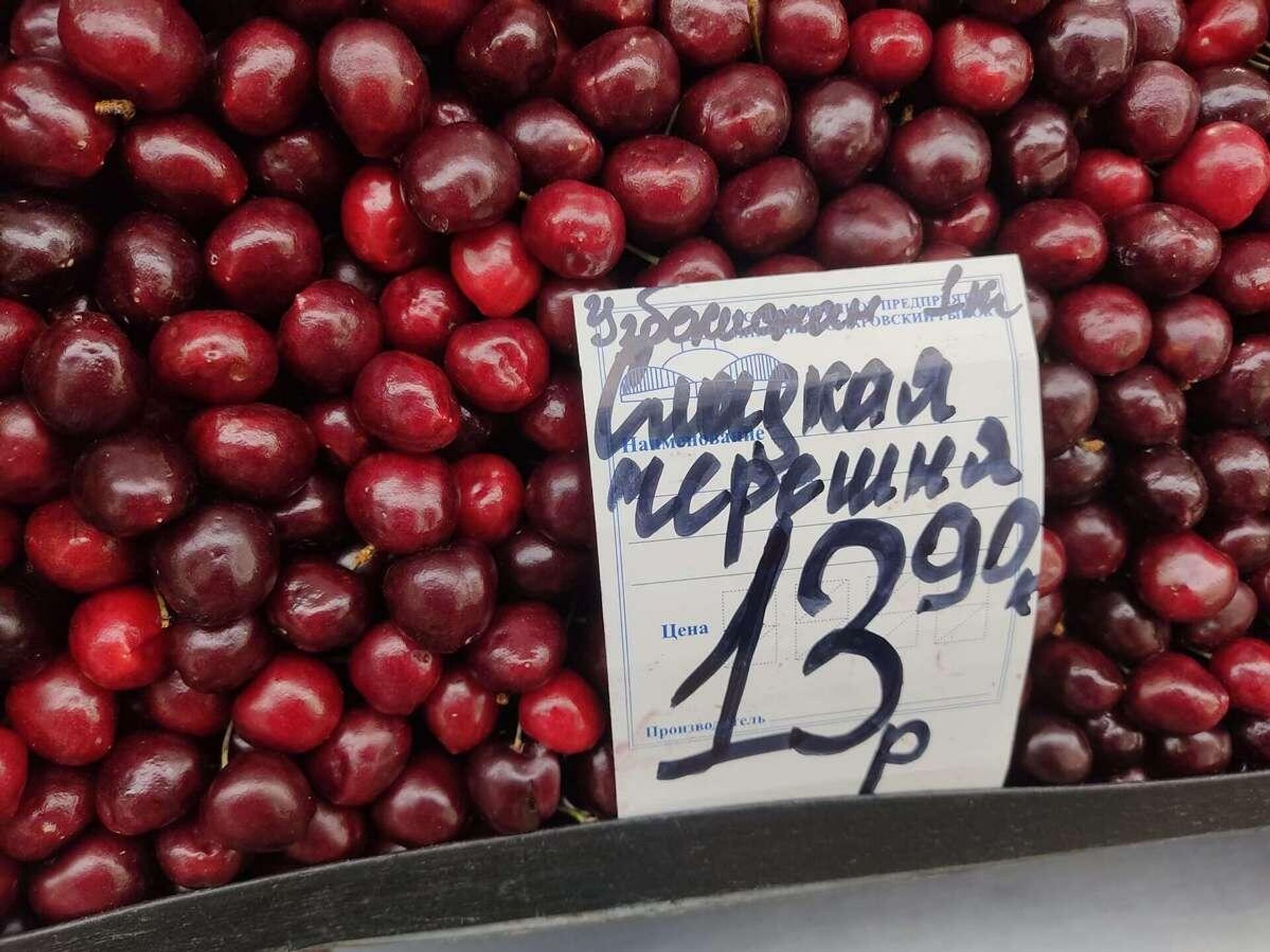 Черешня стала доступнее по цене - Sputnik Беларусь, 1920, 02.06.2023