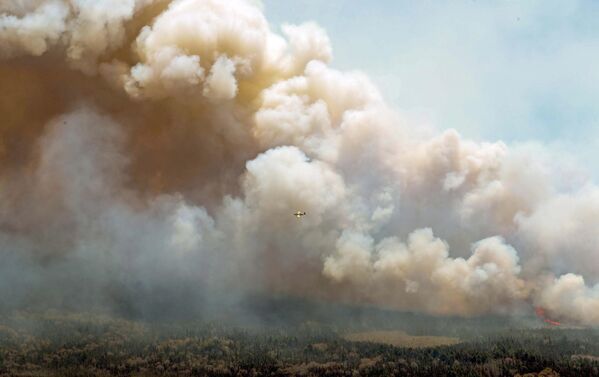 Самолет спасательных служб пролетает над огнем в округе Шелберн, Канада. - Sputnik Беларусь