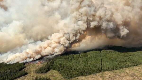 Крупнейший лесной пожар в истории Канады ― видео с высоты птичьего полета  - Sputnik Беларусь