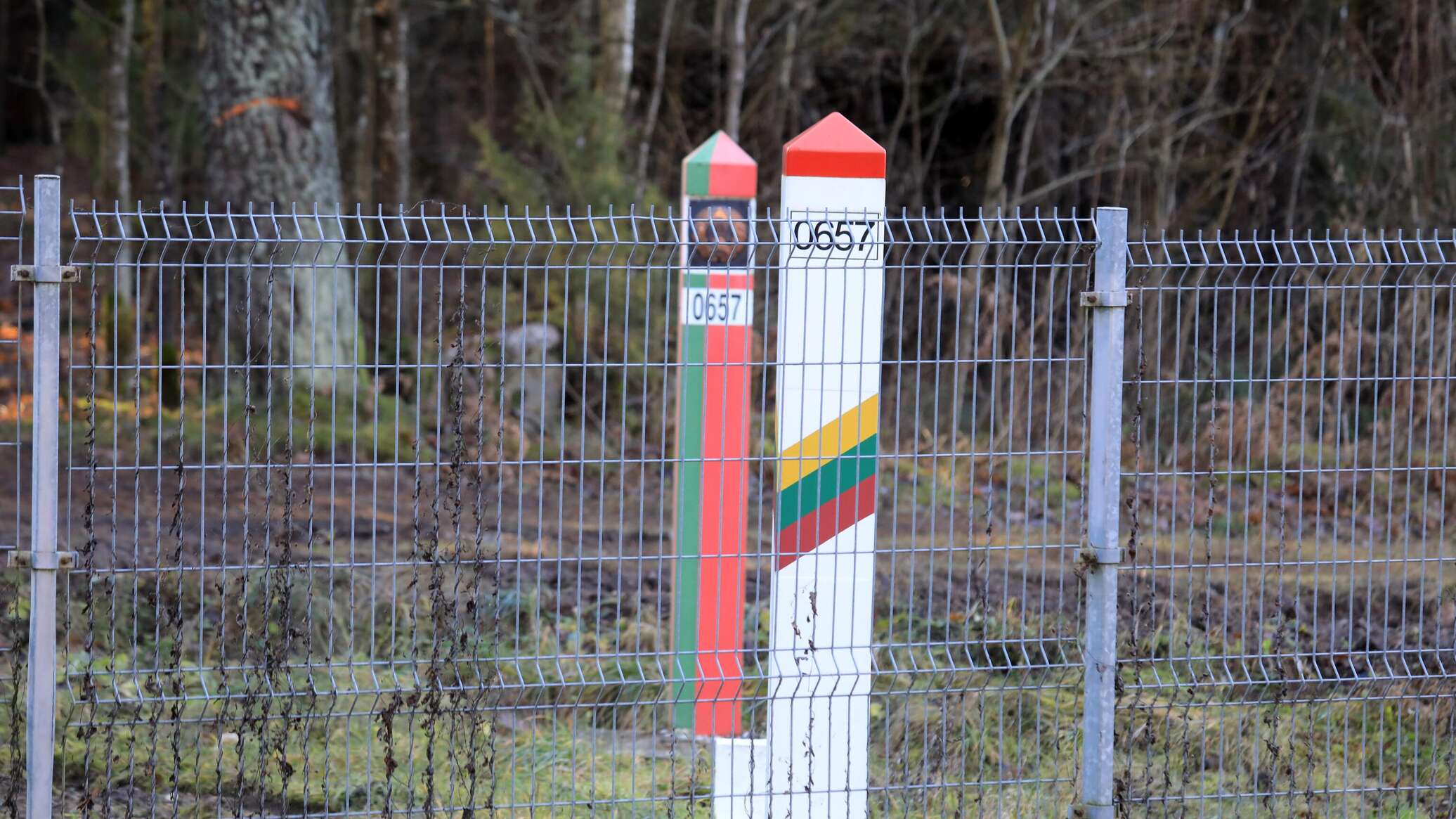 Литва ужесточает наказания за контрабанду, угрожающую нацбезопасности