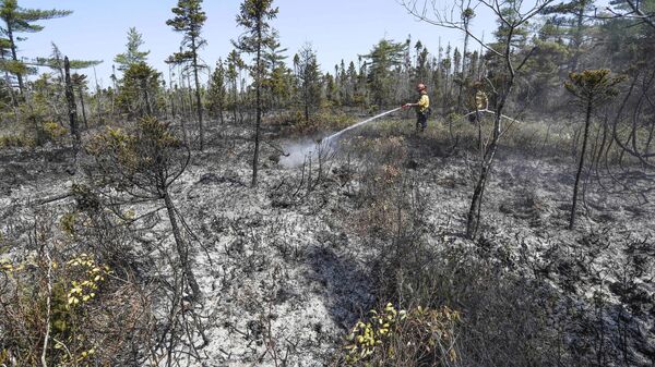 Лесные пожары в Канаде - Sputnik Беларусь