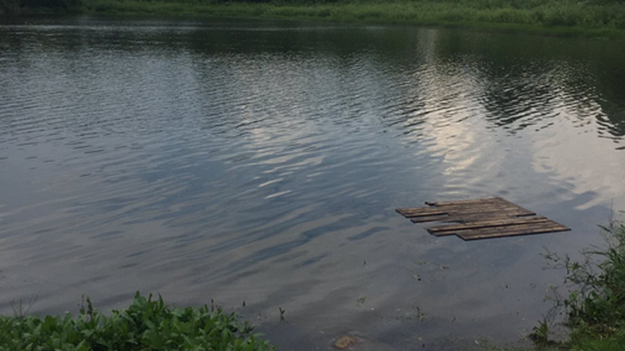 Вода в могилеве